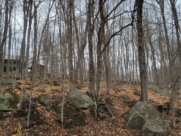 Hollywood Road, Old Forge, NY 13420