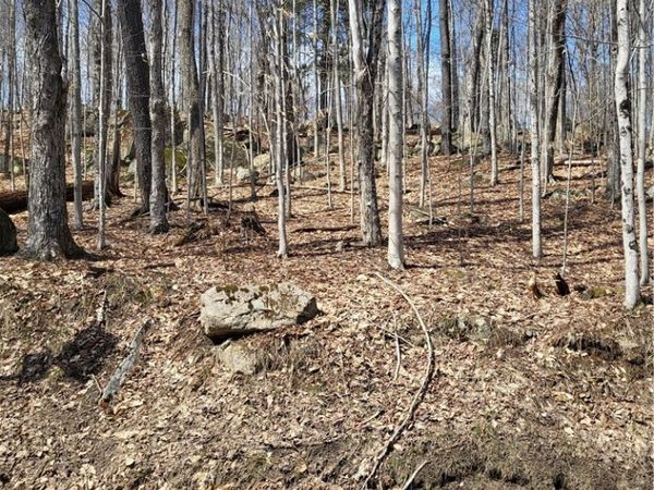 Hollywood Road , Old Forge, NY 13420