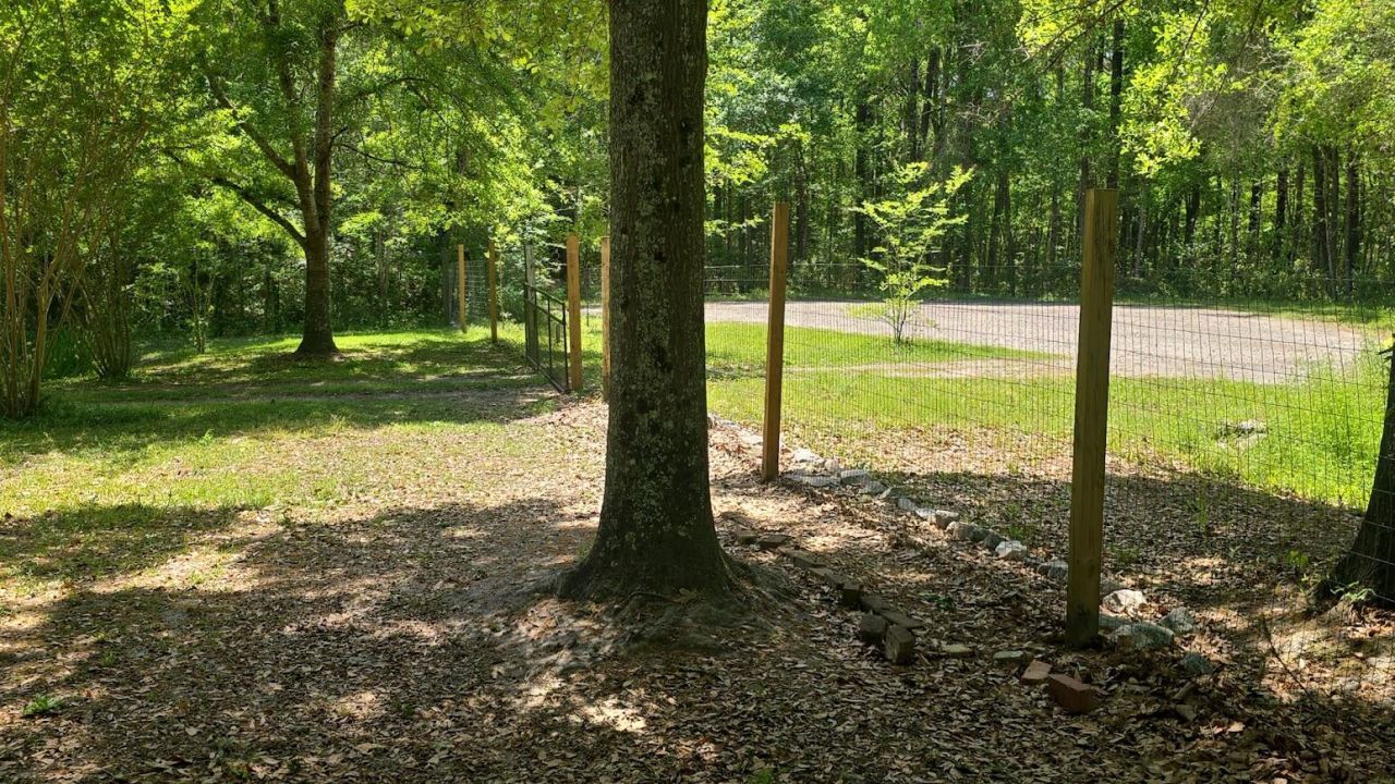 793 Finlay Lane Photo 19