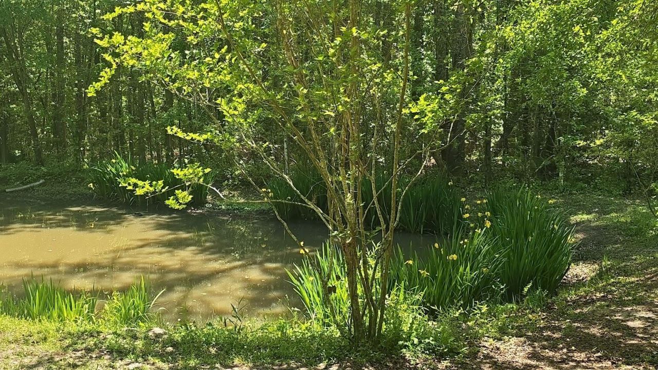 793 Finlay Lane Photo 20