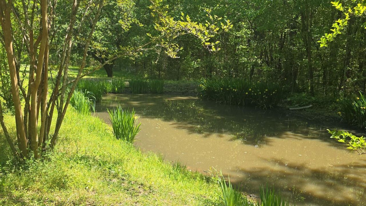 793 Finlay Lane Photo 21