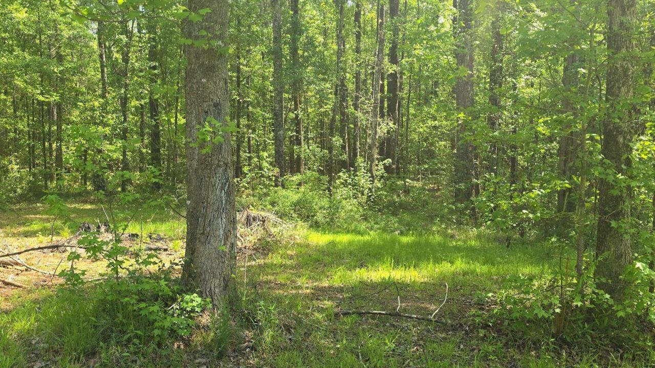 793 Finlay Lane Photo 23