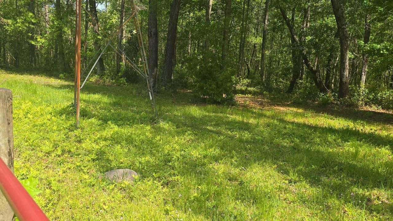 793 Finlay Lane Photo 25