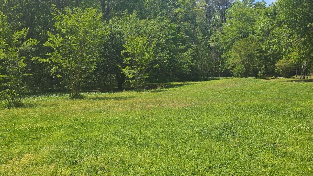 793 Finlay Lane Photo 29