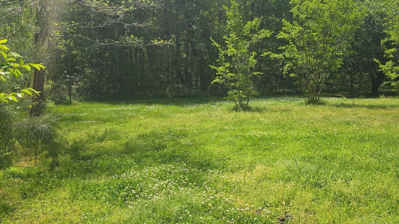 793 Finlay Lane Photo 30