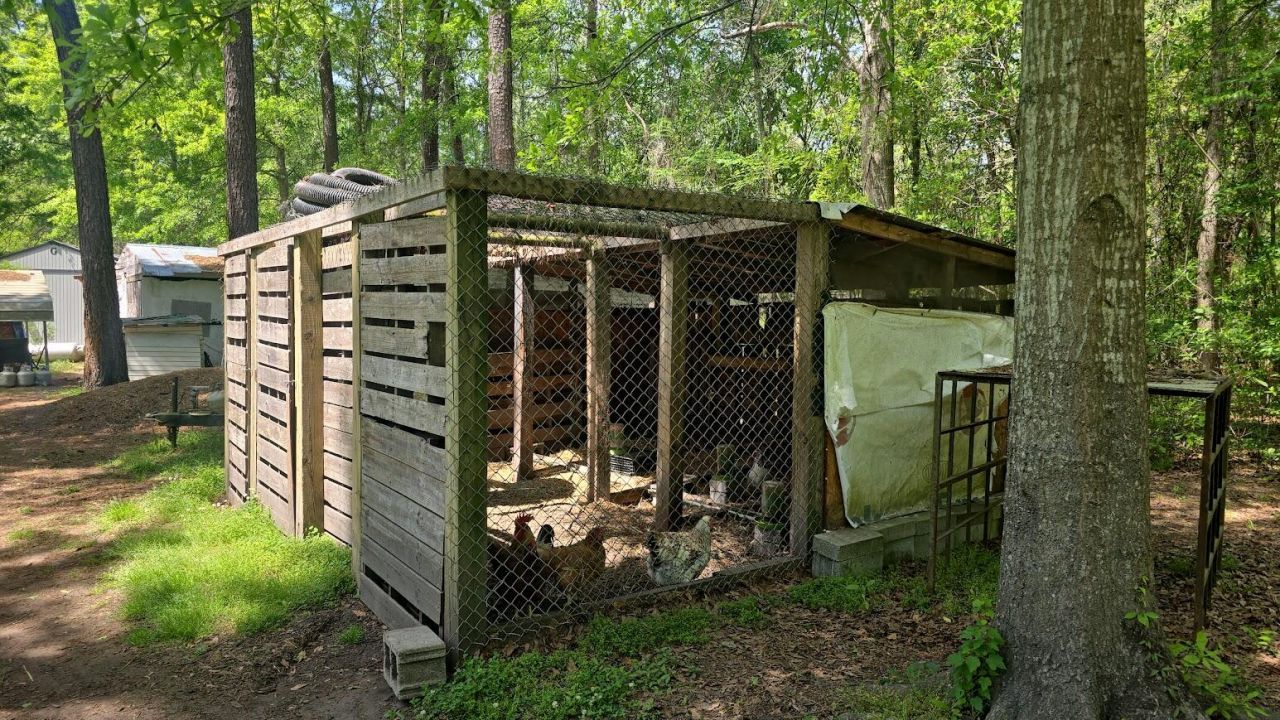 793 Finlay Lane Photo 7