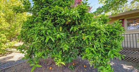 3582 Bell Rd, Auburn, CA 95603 Photo