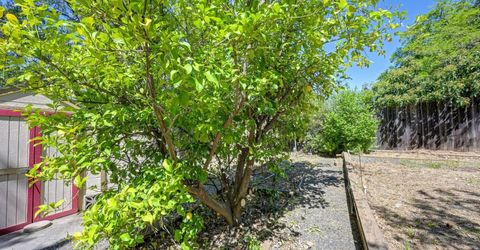 3582 Bell Rd, Auburn, CA 95603 Photo