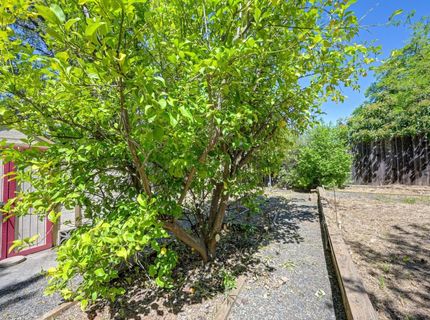 3582 Bell Rd, Auburn, CA 95603 Photo