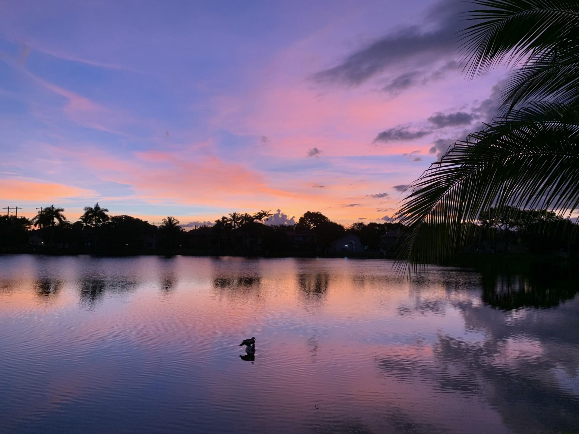 3342 Amsterdam Avenue, Cooper City, FL 33026 Photo