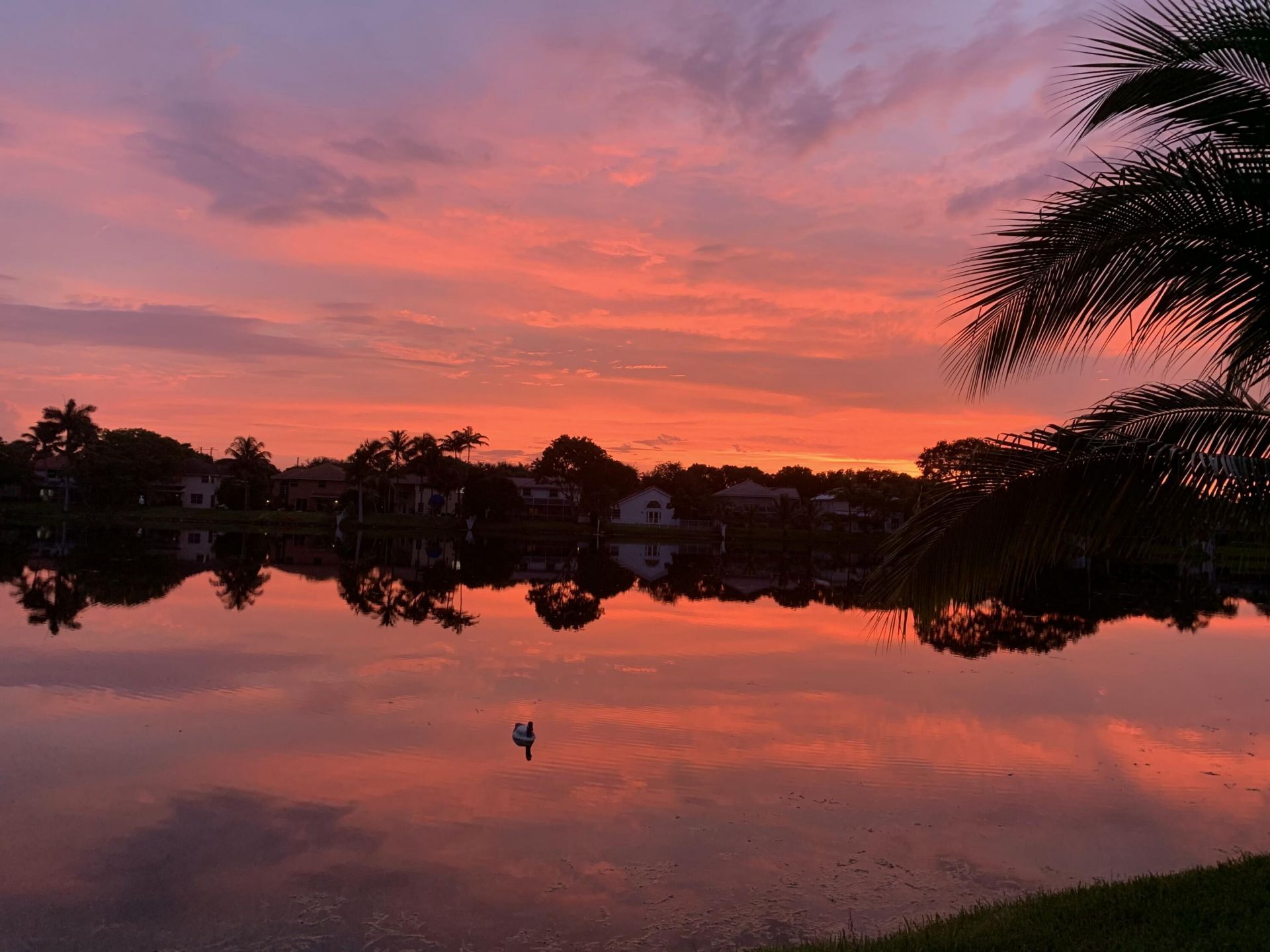 3342 Amsterdam Avenue, Cooper City, FL 33026 Photo