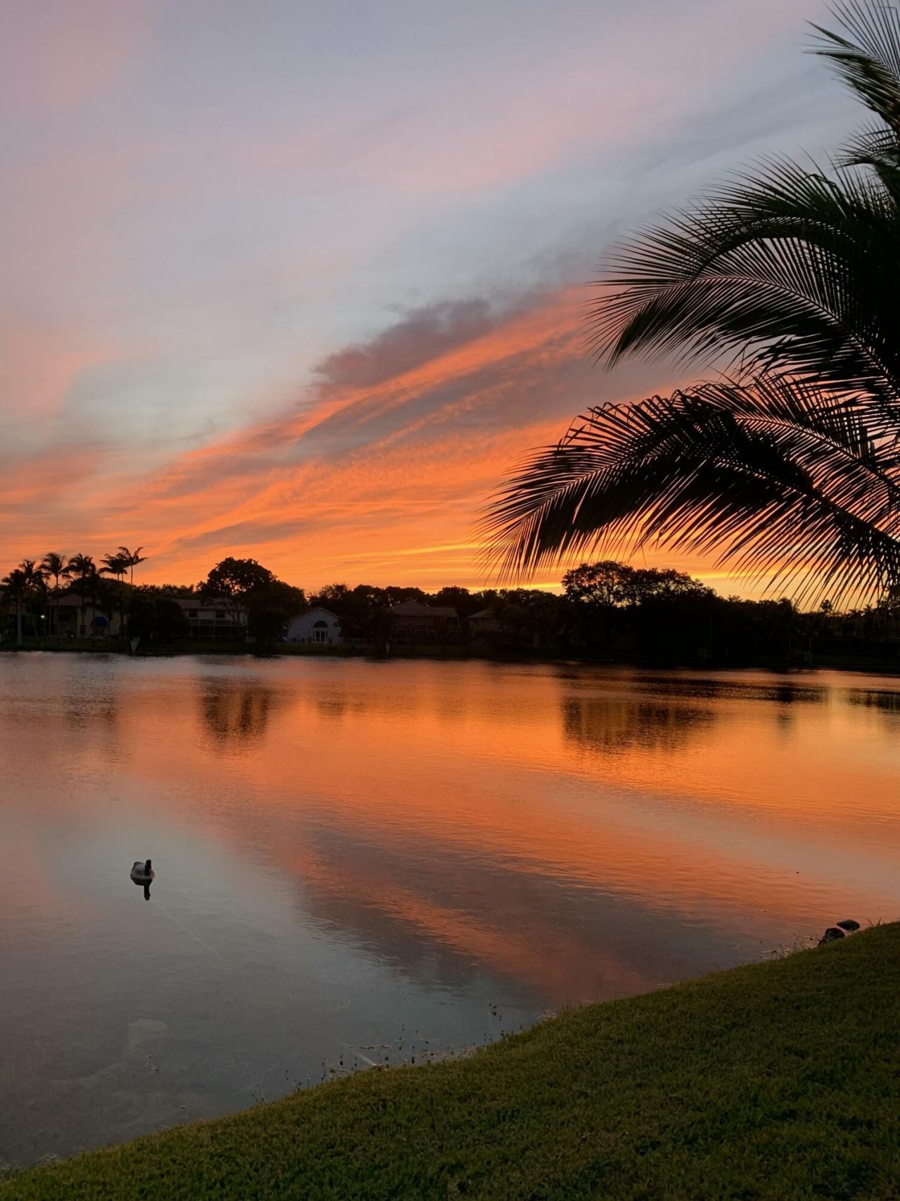 3342 Amsterdam Avenue, Cooper City, FL 33026 Photo