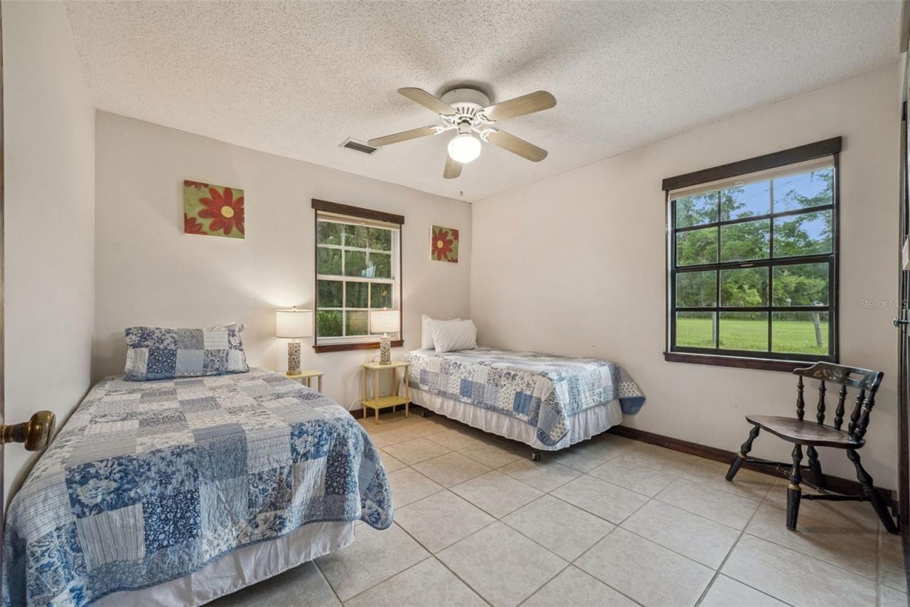 15950 NE 50th Street, Williston, FL 32696 Photo