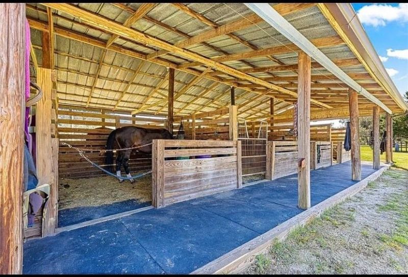 15950 NE 50th Street, Williston, FL 32696 Photo