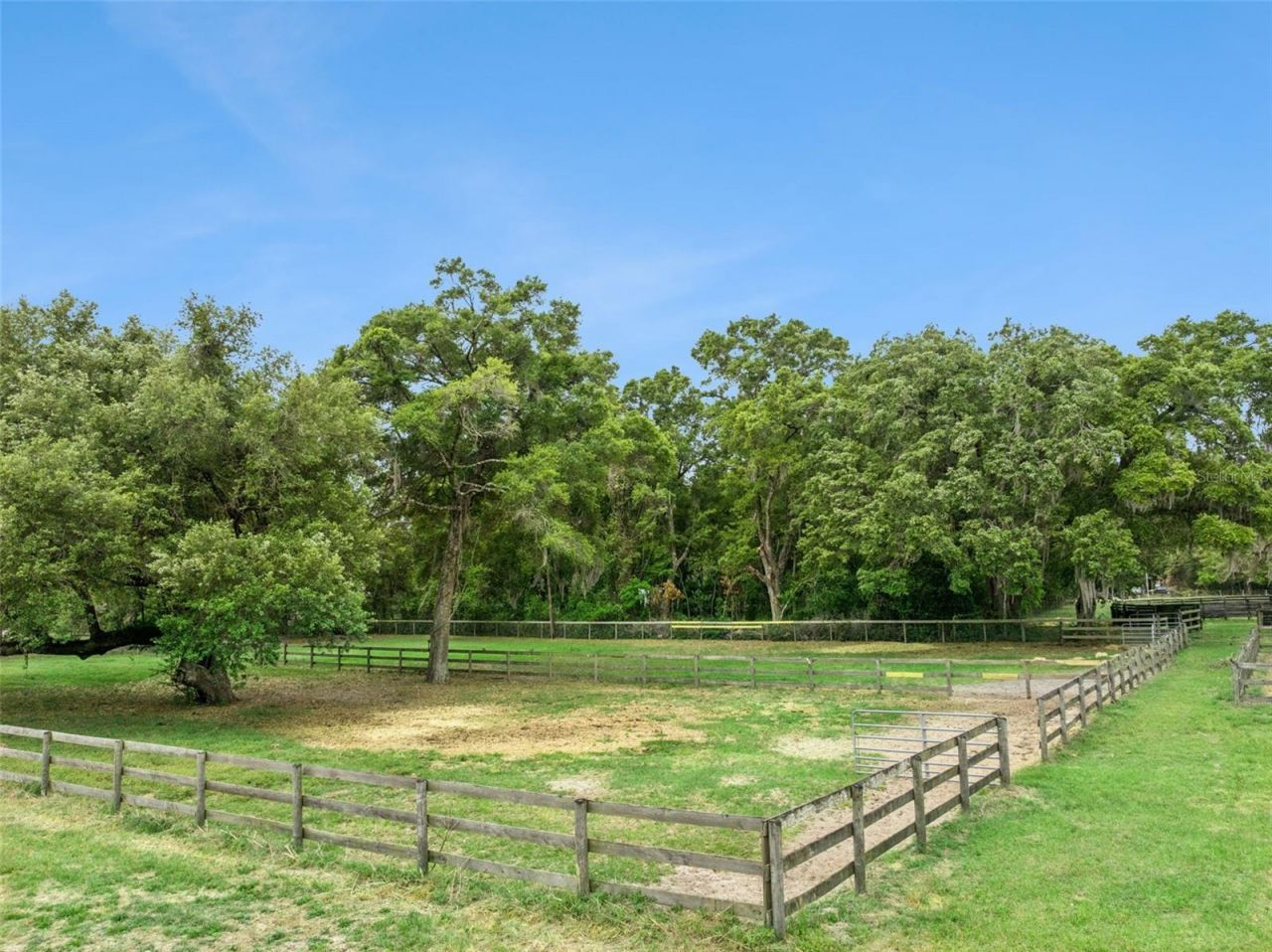 15950 NE 50th Street, Williston, FL 32696 Photo