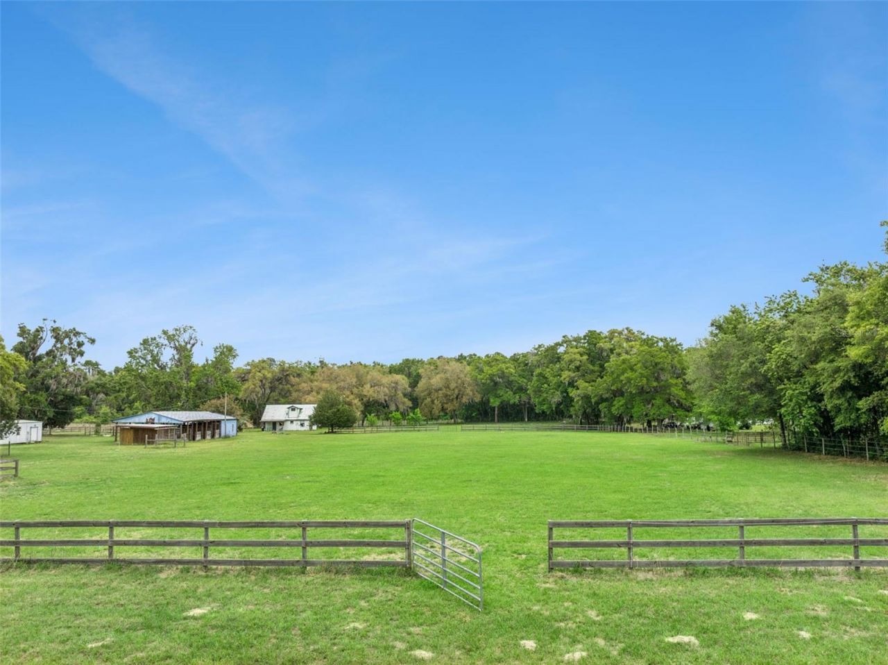 15950 NE 50th Street, Williston, FL 32696 Photo