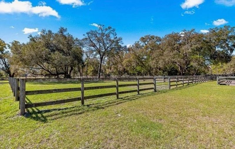 15950 NE 50th Street, Williston, FL 32696 Photo