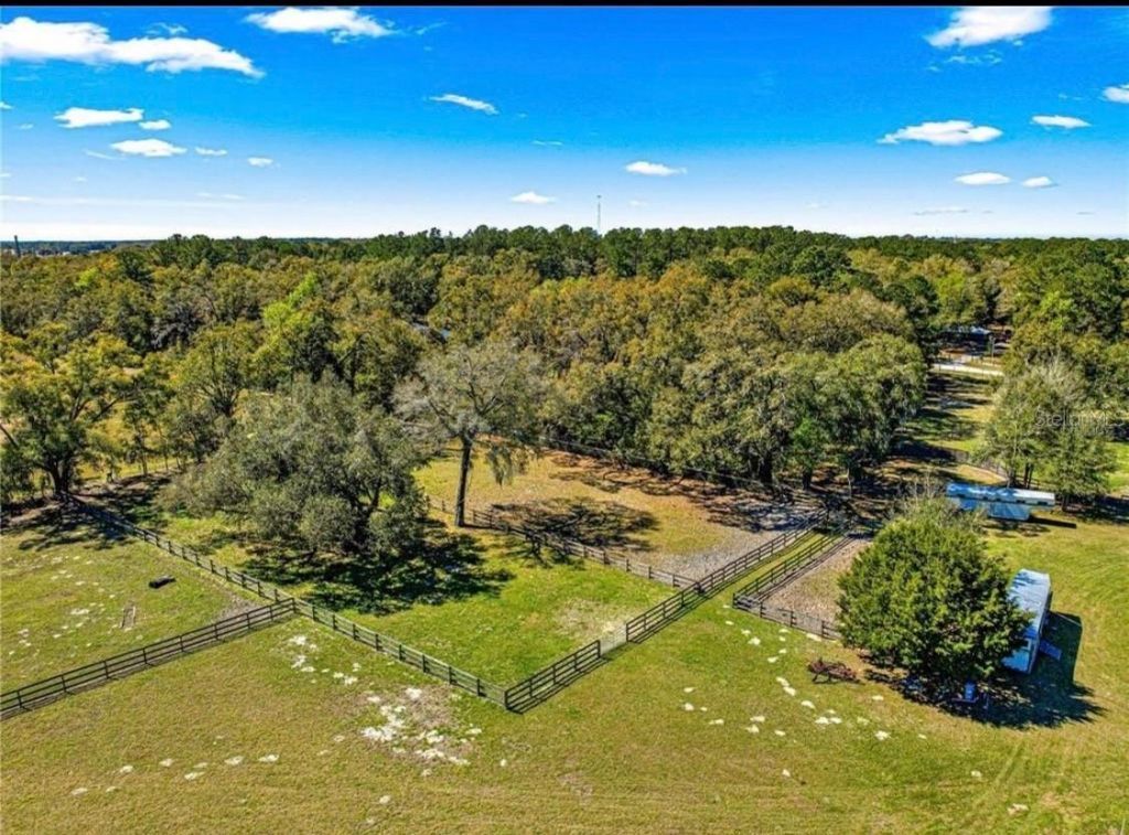 15950 NE 50th Street, Williston, FL 32696 Photo