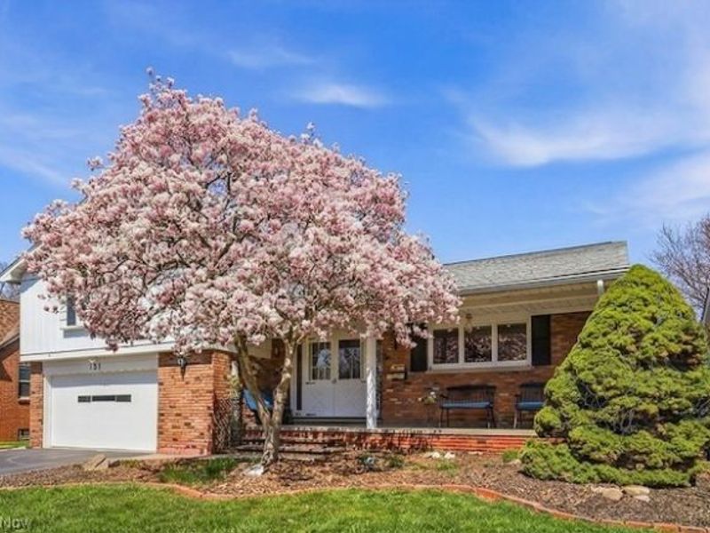 131 E 194th Street , Euclid, OH 44119 Photo 4