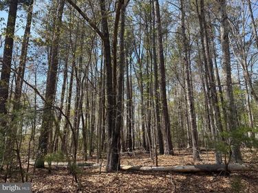 WINDWOOD COVES BLVD, MINERAL, VA 23117