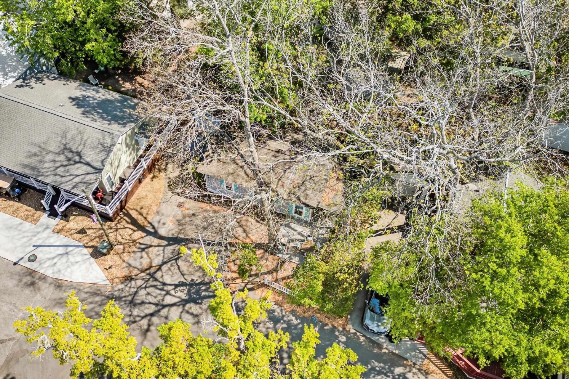 6001 1211 South Kings Hwy. Photo 31