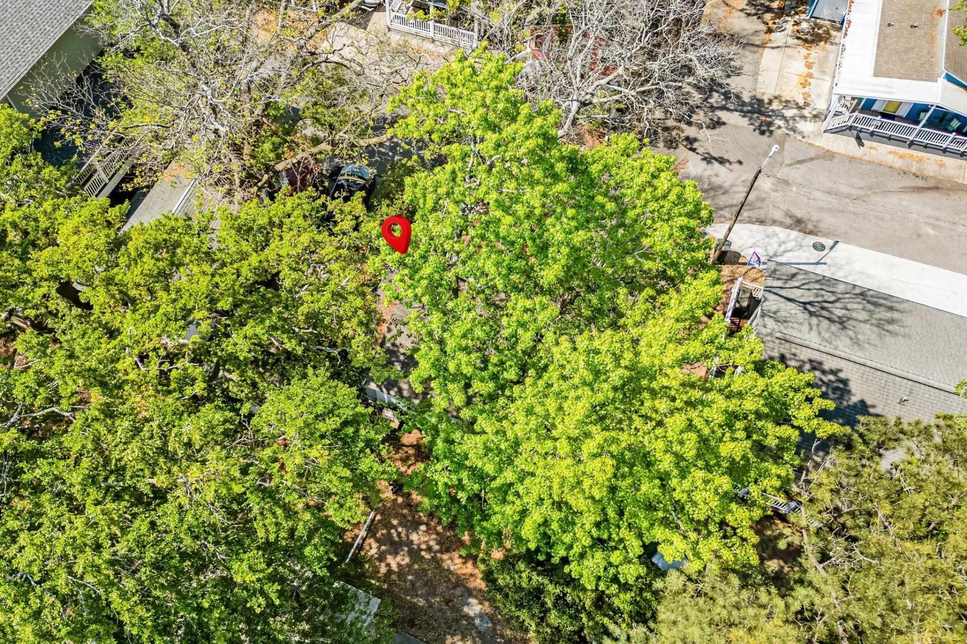 6001 1211 South Kings Hwy. Photo 32