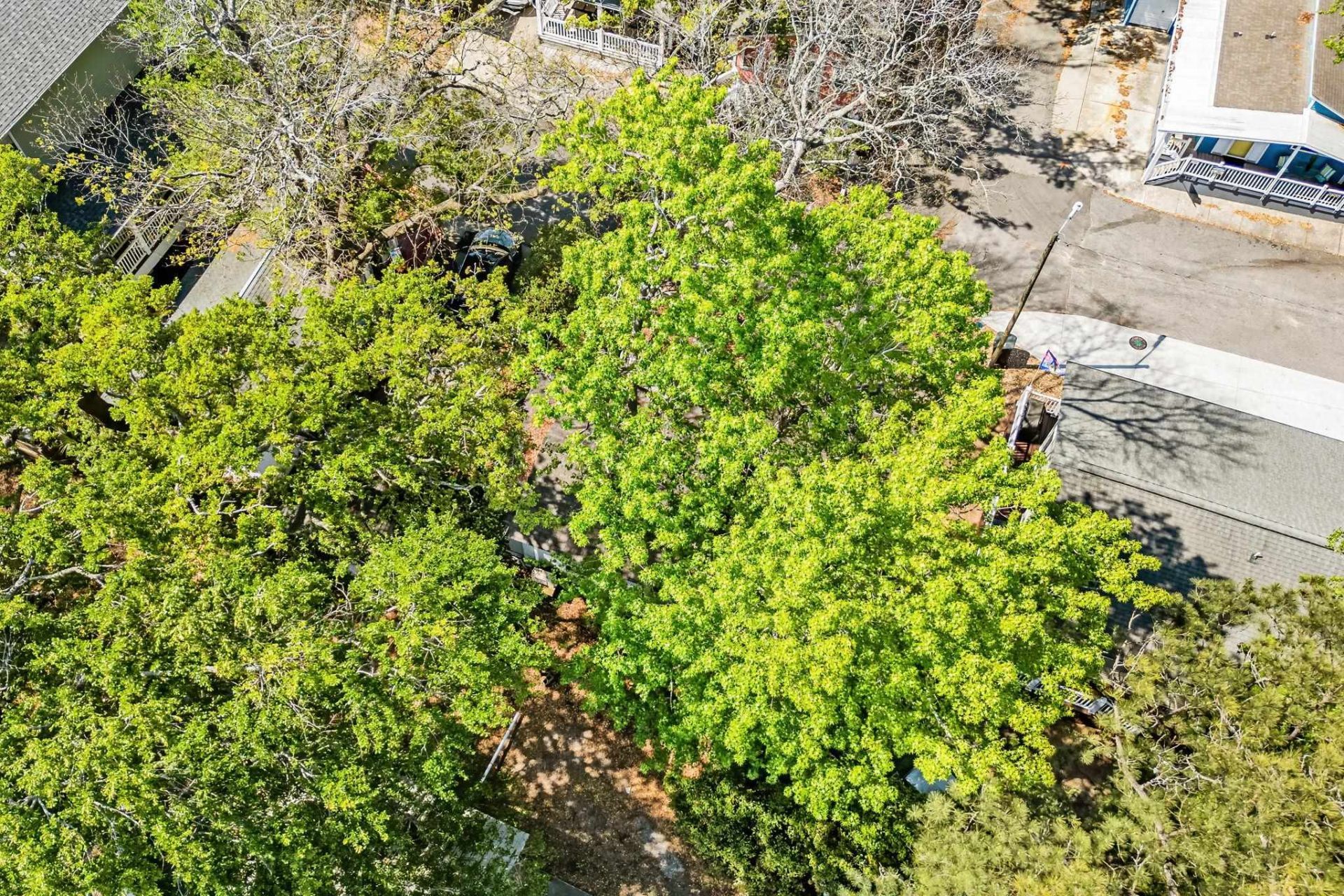 6001 1211 South Kings Hwy. Photo 33