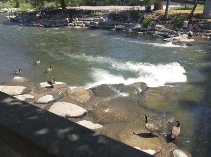 280 Island Avenue, Unit APT 403, Reno, NV 89501 Photo