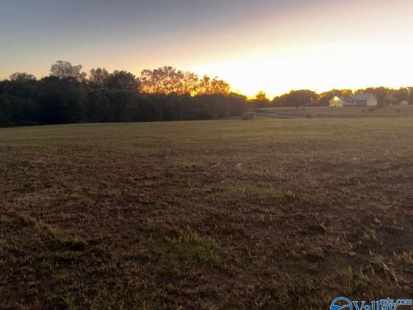 Lot 4 County Road 1755, Holly Pond, AL 35083