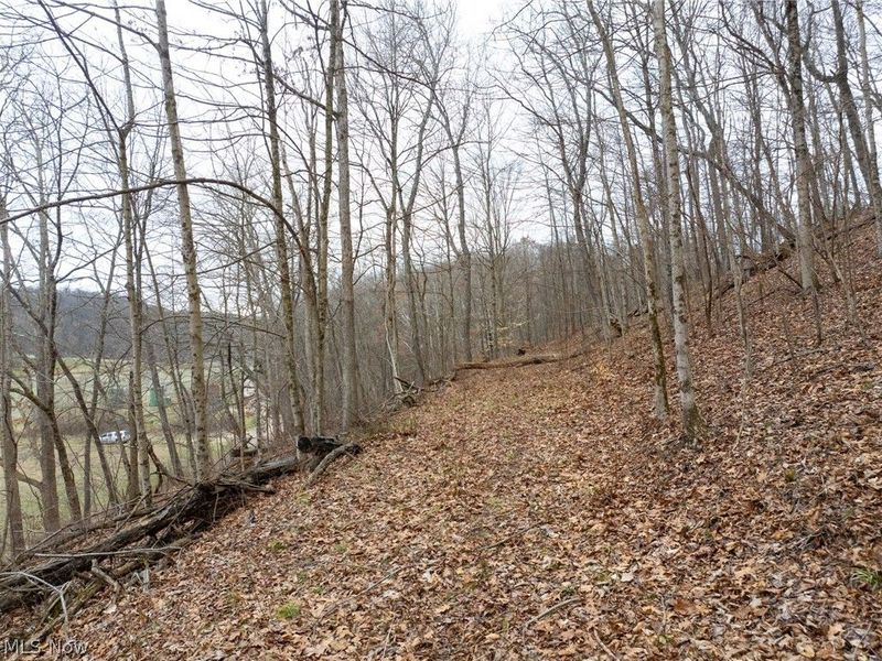 Sarchets Run Road, Cambridge, OH 43725 Photo 16