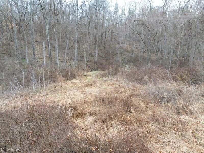 Sarchets Run Road, Cambridge, OH 43725 Photo 17