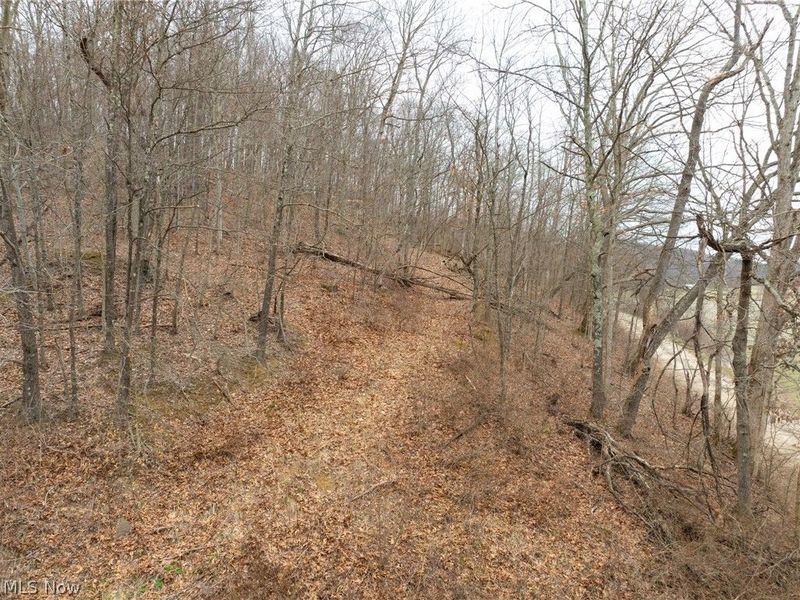 Sarchets Run Road, Cambridge, OH 43725 Photo 19