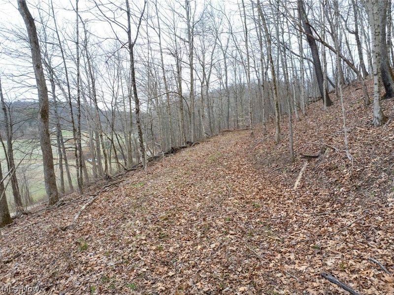 Sarchets Run Road, Cambridge, OH 43725 Photo 20