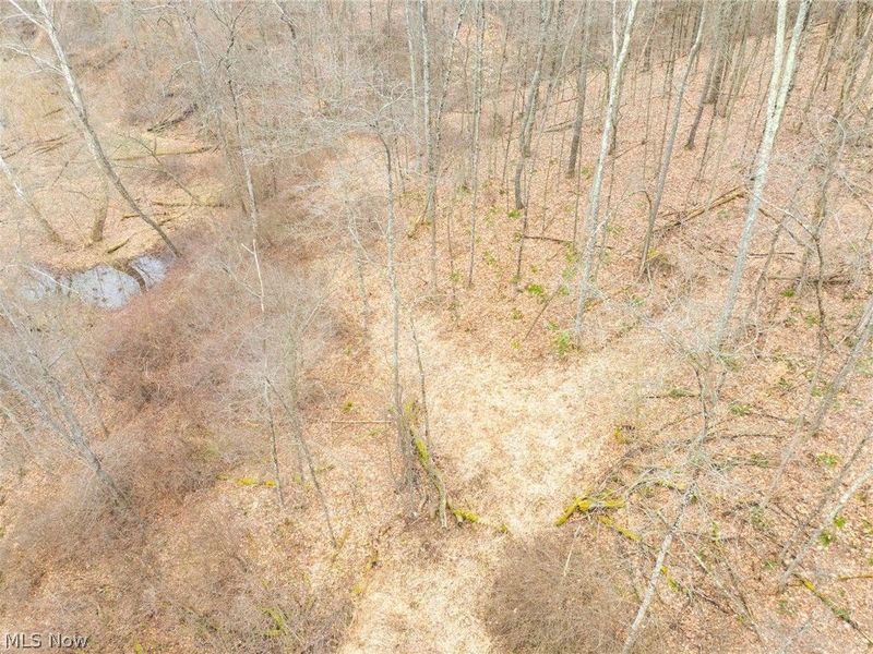 Sarchets Run Road, Cambridge, OH 43725 Photo 26