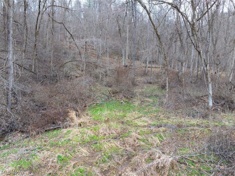 Sarchets Run Road, Cambridge, OH 43725 Photo 10