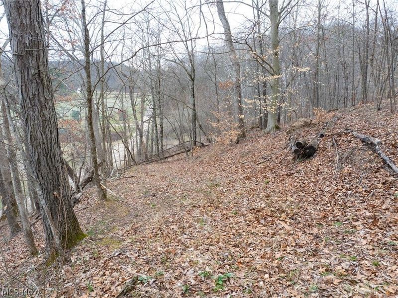 Sarchets Run Road, Cambridge, OH 43725 Photo 12