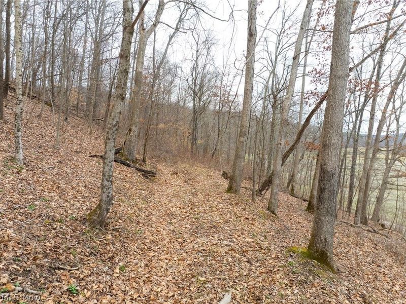 Sarchets Run Road, Cambridge, OH 43725 Photo 14