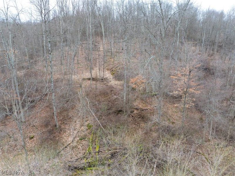 Sarchets Run Road, Cambridge, OH 43725 Photo 17