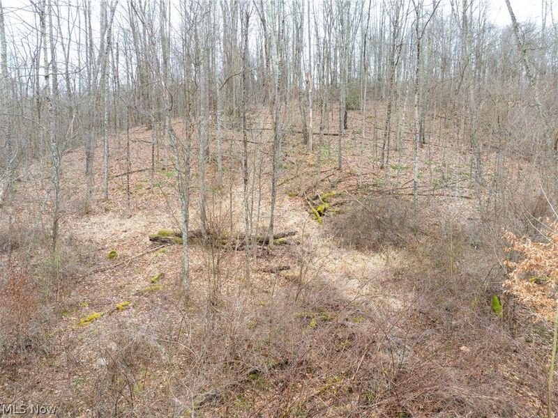 Sarchets Run Road, Cambridge, OH 43725 Photo 18