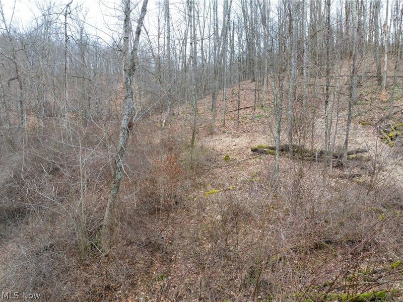 Sarchets Run Road, Cambridge, OH 43725 Photo 19