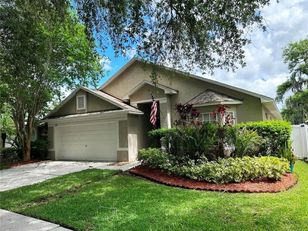 809 STRAW LAKE DRIVE , BRANDON, FL 33510