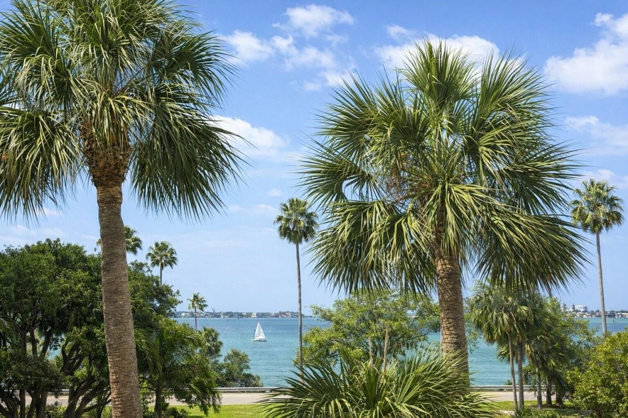 707 S Gulfstream Avenue , Unit 307, Sarasota, FL 34236 Photo