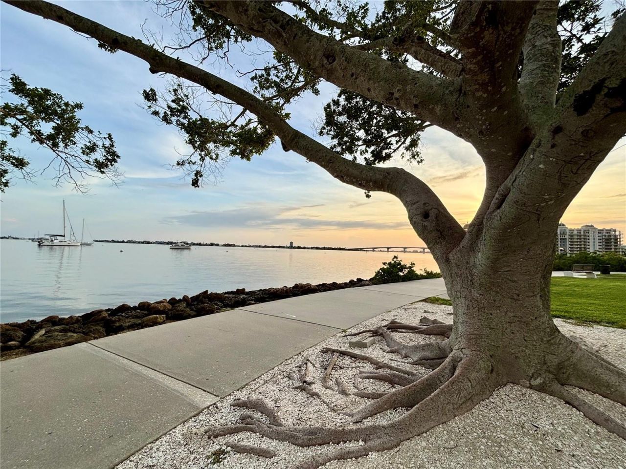 707 S Gulfstream Avenue, Unit 307, Sarasota, FL 34236 Photo