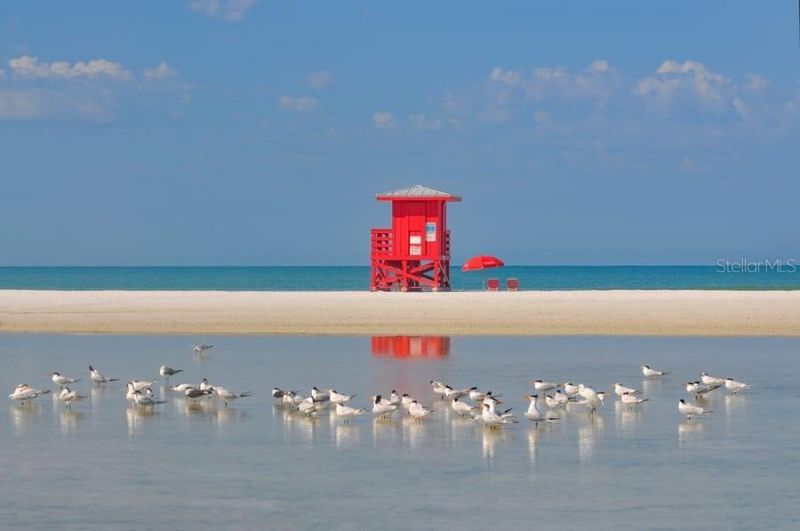 707 S Gulfstream Avenue, Unit 307, Sarasota, FL 34236 Photo