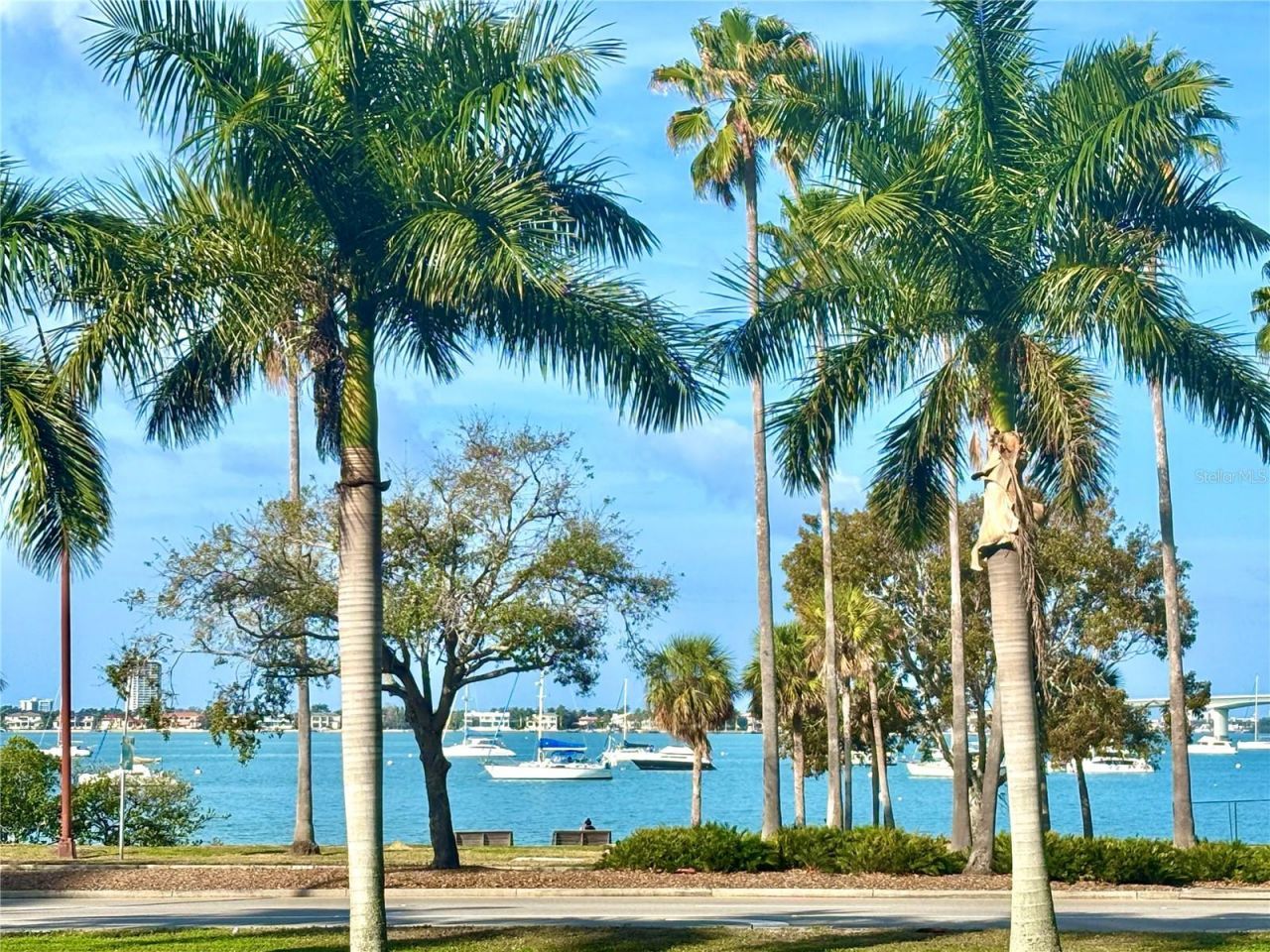 707 S Gulfstream Avenue, Unit 307, Sarasota, FL 34236 Photo