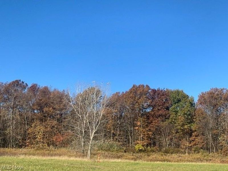 0000 Courtyard Drive, Lorain, OH 44053 Photo 10