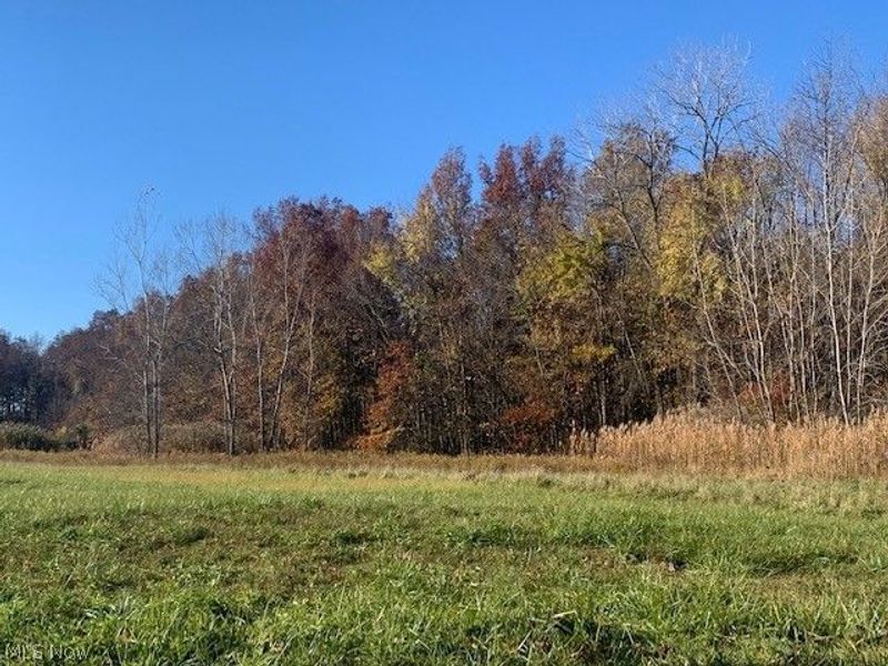 0000 Courtyard Drive, Lorain, OH 44053 Photo 12