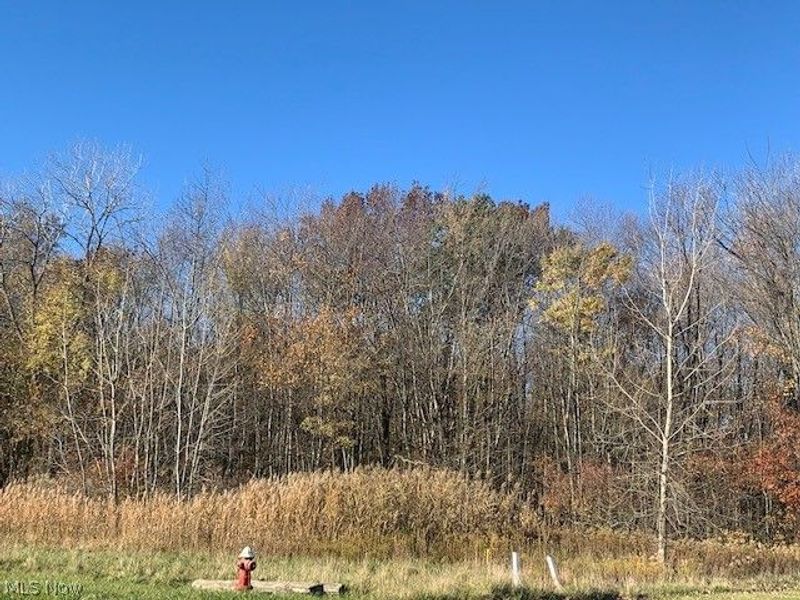 0000 Courtyard Drive, Lorain, OH 44053 Photo 13