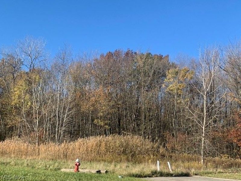 0000 Courtyard Drive, Lorain, OH 44053 Photo 14