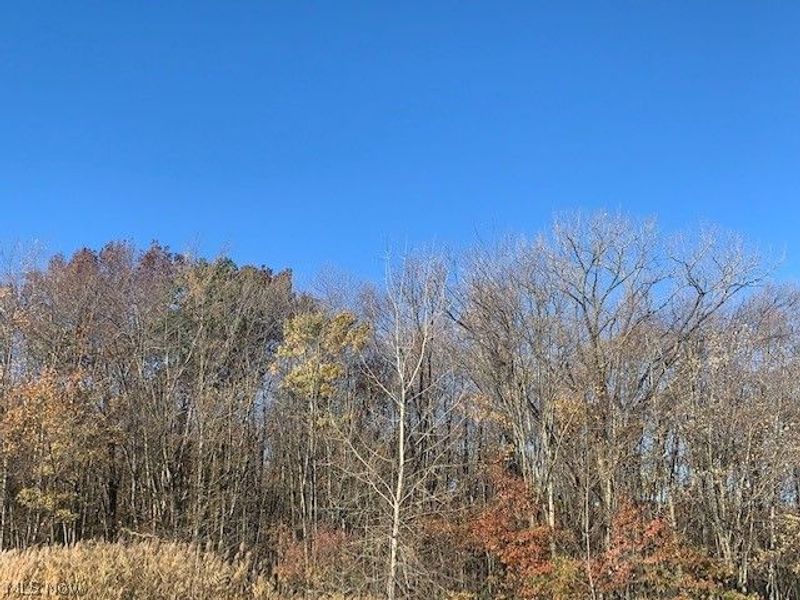 0000 Courtyard Drive, Lorain, OH 44053 Photo 15